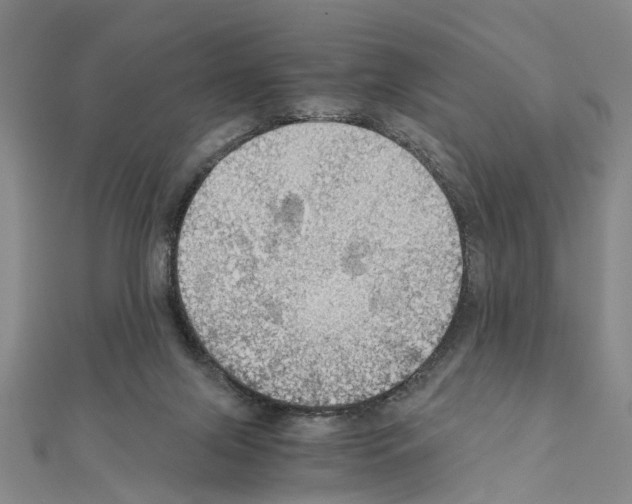 X0000111030071200908061445