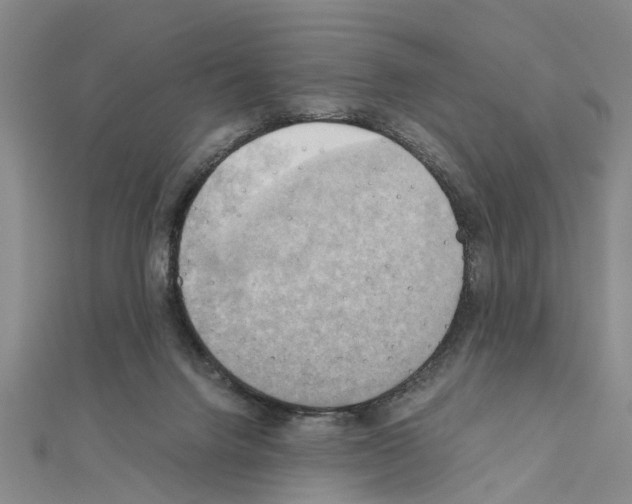 X0000111030072200908061445