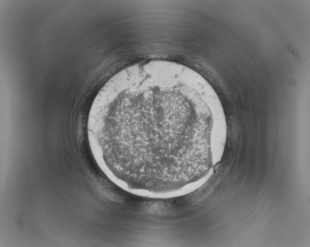 X0000111030074200908061445