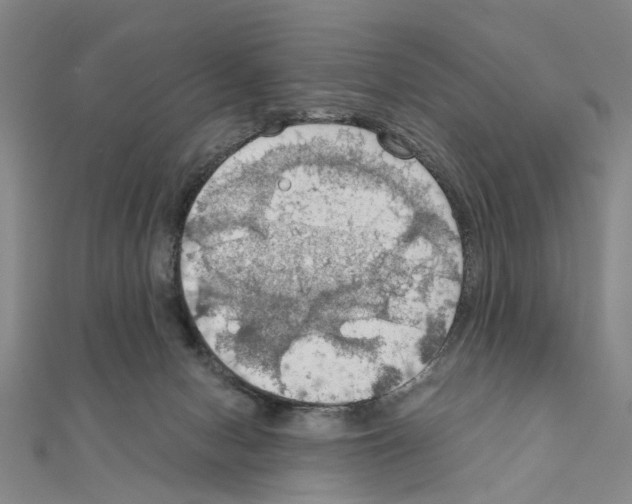 X0000111030078200908061445