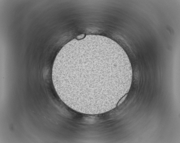X0000111030079200908061445