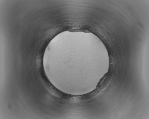 X0000111030080200908061445