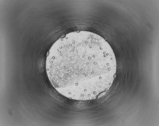 X0000111030082200908061445
