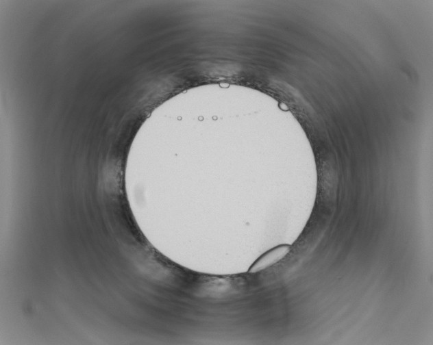X0000111030083200908061445