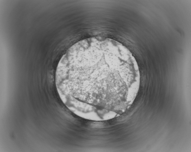 X0000111030085200908061445