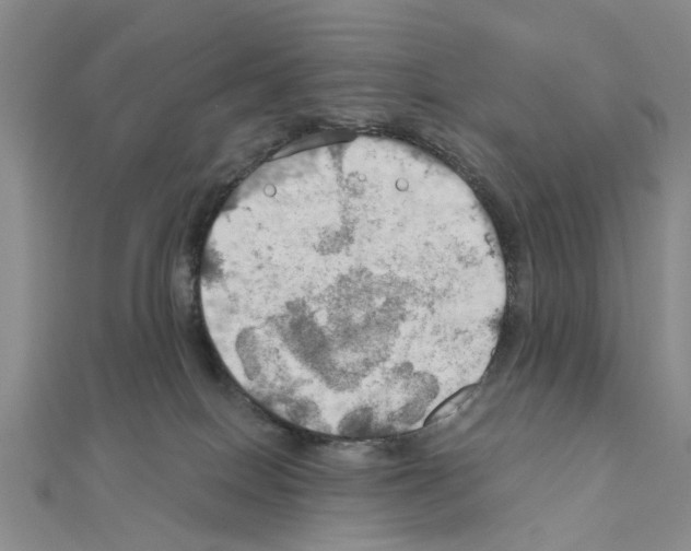 X0000111030086200908061445