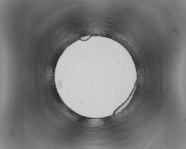 X0000111030087200908061445