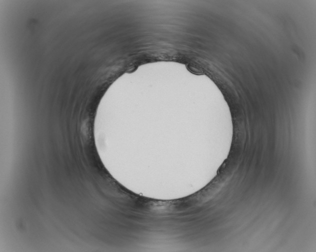 X0000111030088200908061445