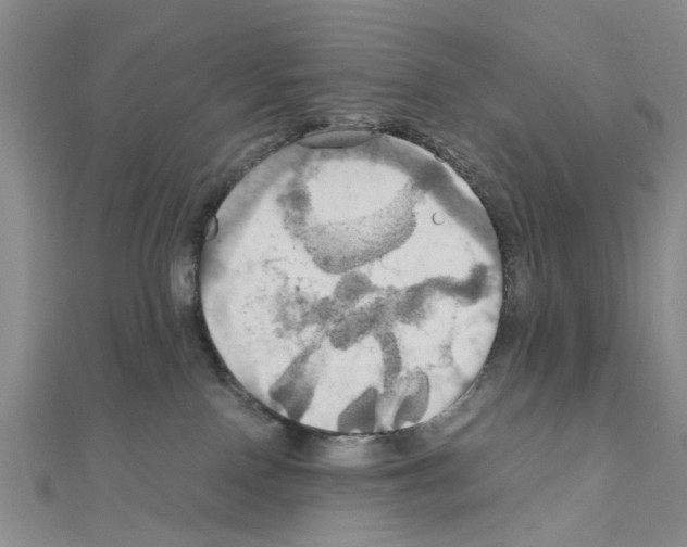 X0000111030090200908061445