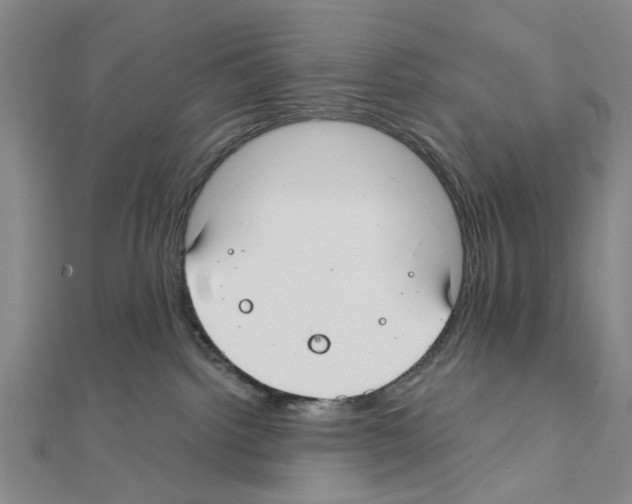 X0000111030092200908061445