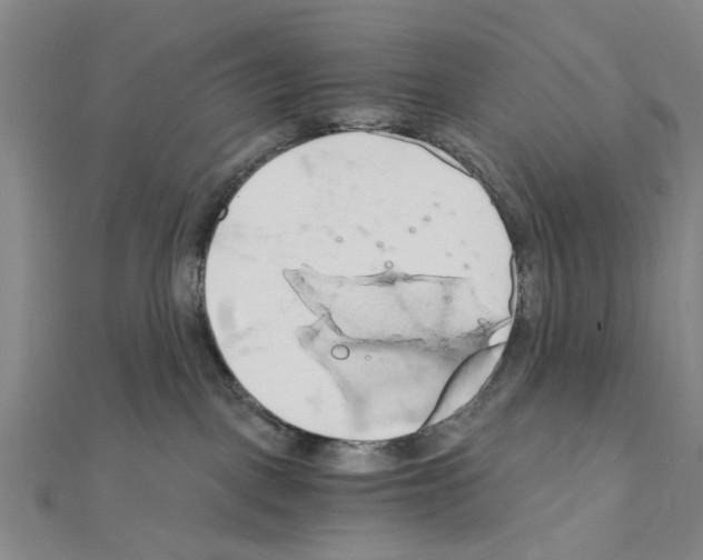 X0000111030093200908061445