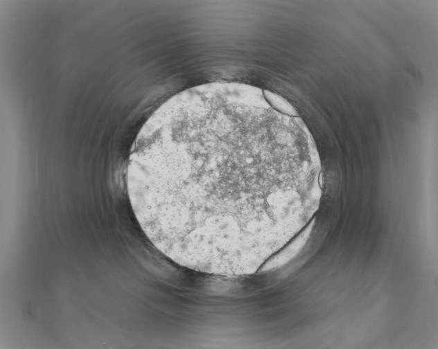 X0000111030094200908061445