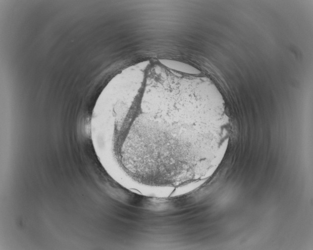 X0000111030095200908061445
