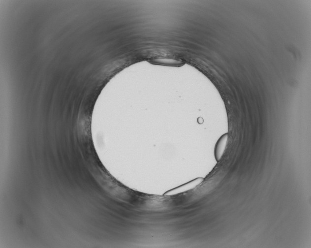 X0000111030096200908061445