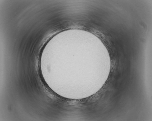 X0000111030098200908061444