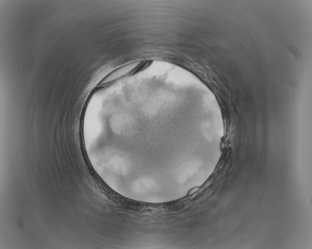 X0000111030099200908061444