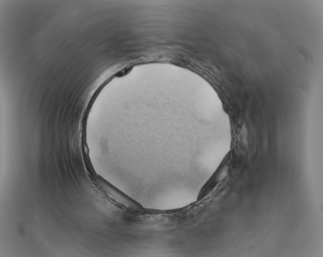 X0000111030100200908061444