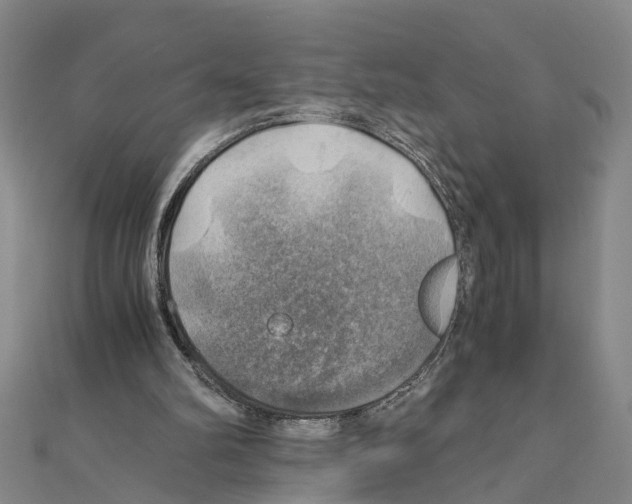 X0000111030102200908061444