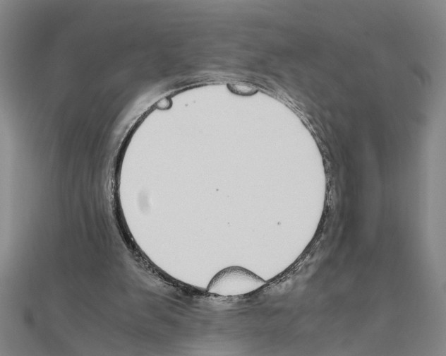 X0000111030103200908061444