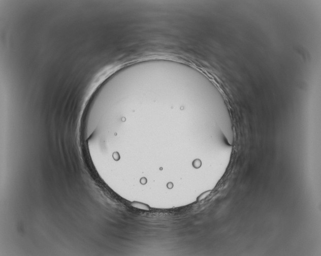X0000111030104200908061444