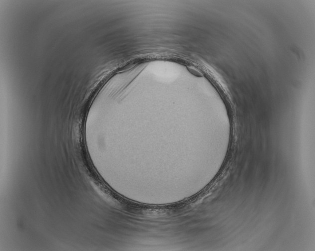 X0000111030105200908061444