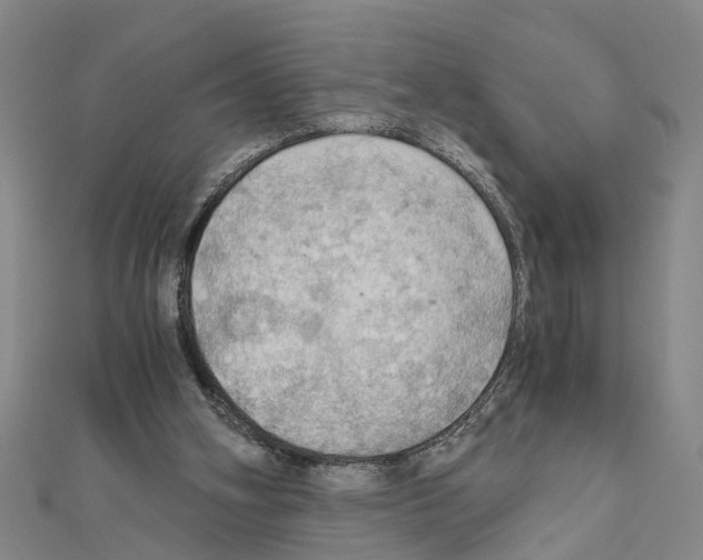 X0000111030106200908061444