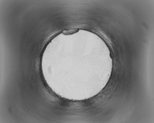 X0000111030107200908061444
