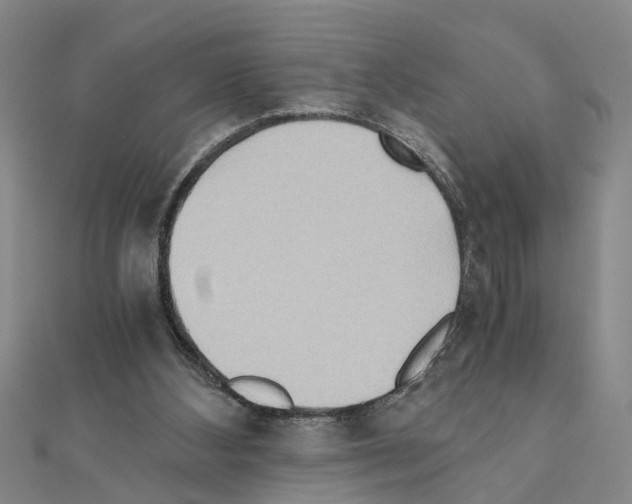 X0000111030108200908061444