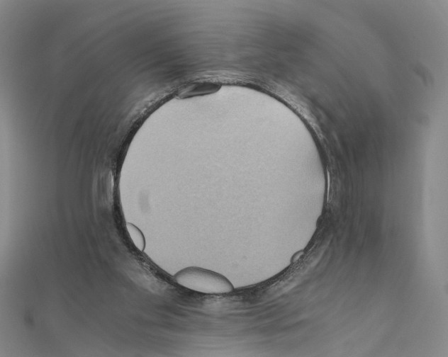 X0000111030109200908061444