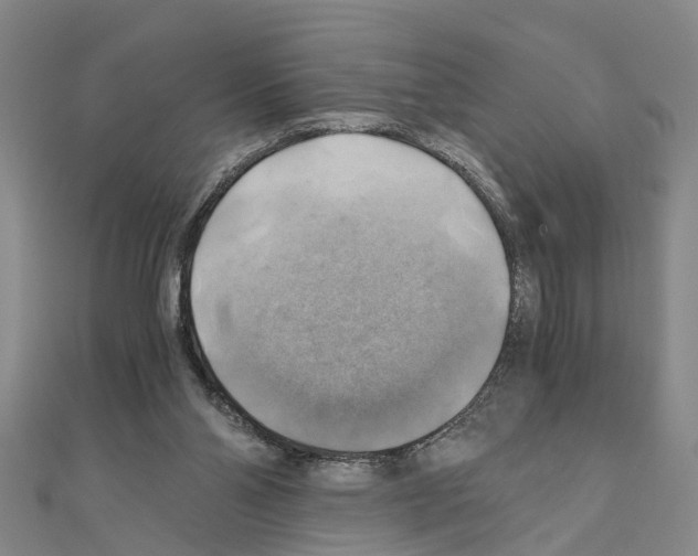 X0000111030110200908061444