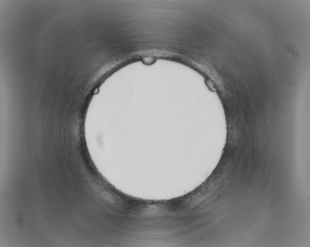 X0000111030111200908061444