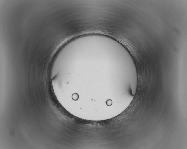 X0000111030112200908061444