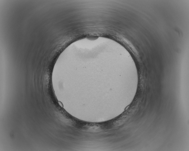 X0000111030113200908061444