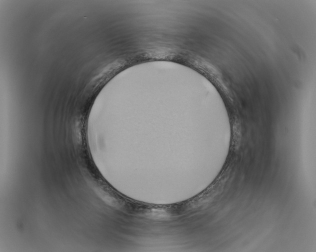 X0000111030114200908061444