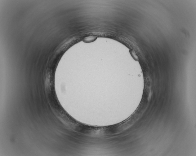 X0000111030116200908061444