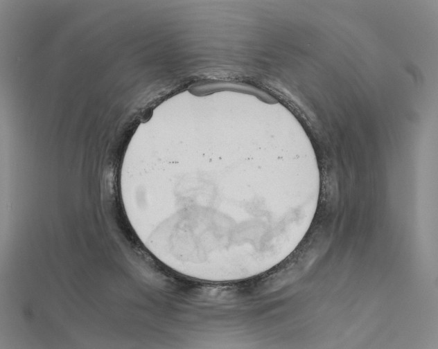 X0000111030117200908061444