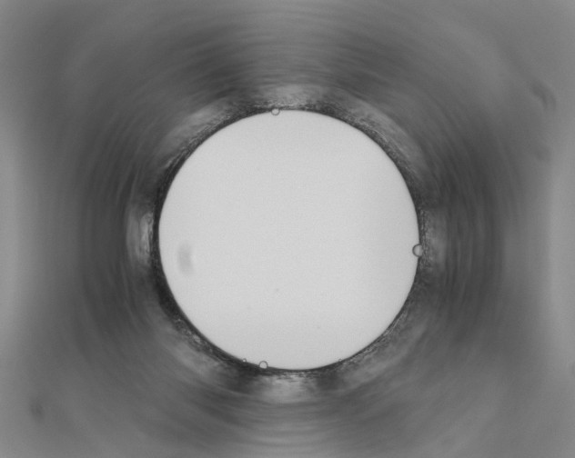 X0000111030118200908061444