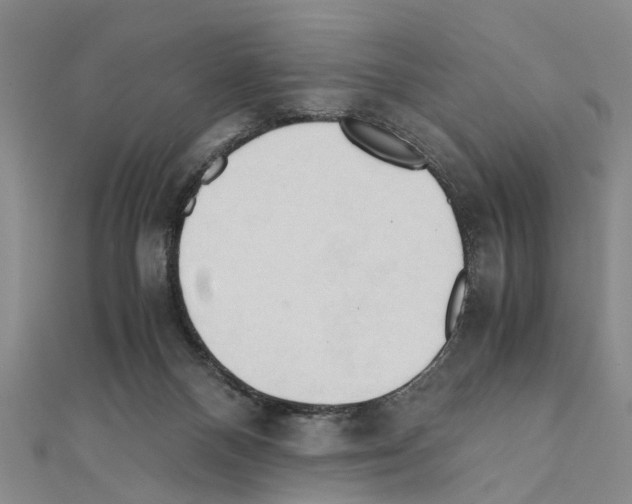 X0000111030120200908061444