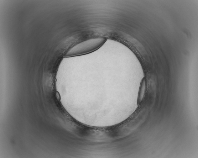X0000111030121200908061444