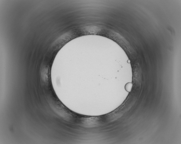 X0000111030122200908061444