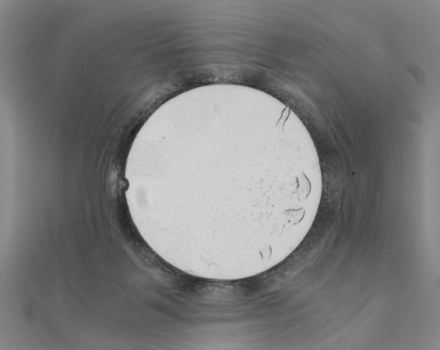 X0000111030123200908061444