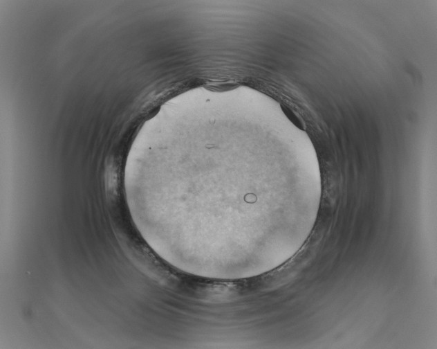 X0000111030124200908061444