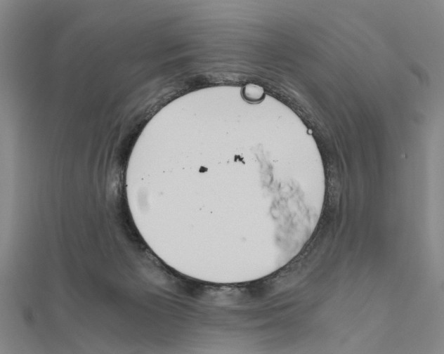 X0000111030125200908061444