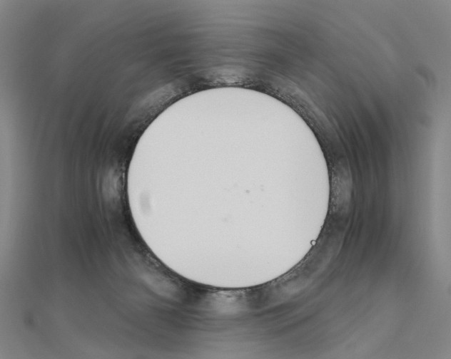 X0000111030126200908061444