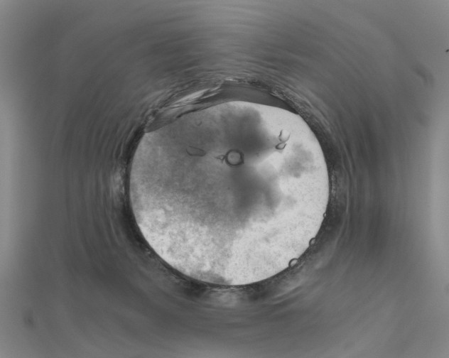 X0000111030127200908061444
