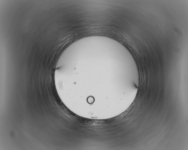 X0000111030128200908061444