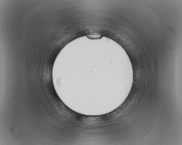X0000111030129200908061444