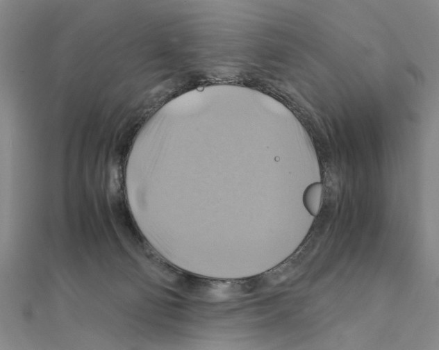 X0000111030130200908061444