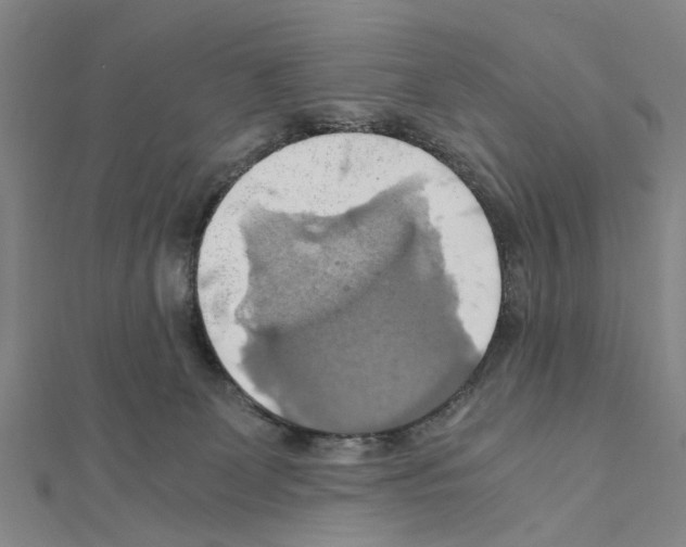 X0000111030131200908061444