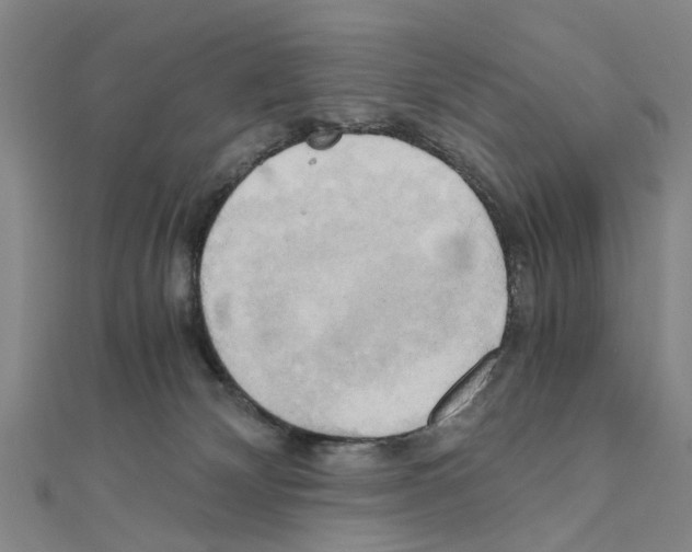 X0000111030132200908061444